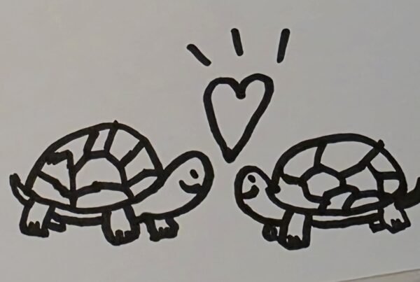 tortoise